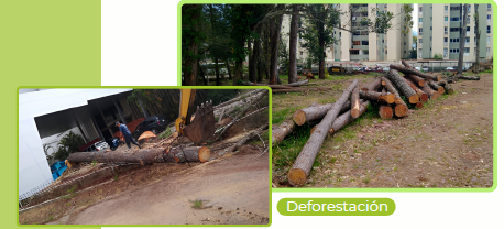 Habitaciones